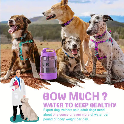 Pet Water Bottle