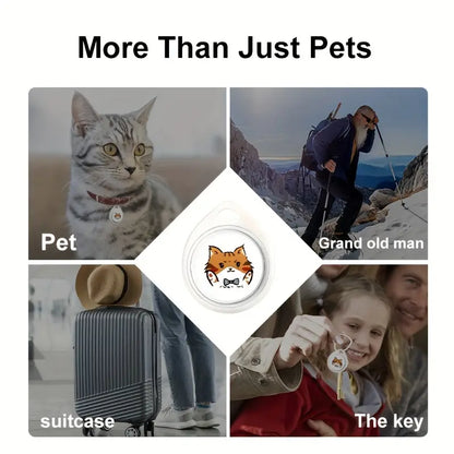 Pet Anti-lost Device