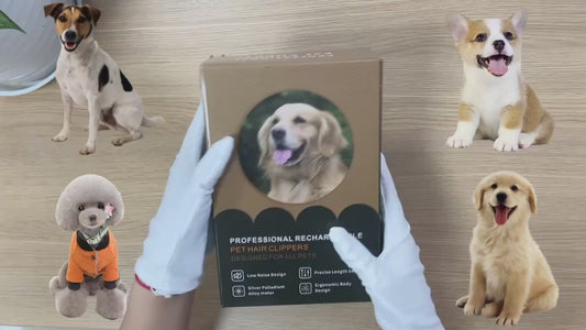 Cordless Dog Grooming Kit